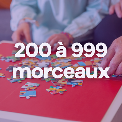Image 200 à 999 morceaux